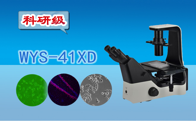 倒置生物国产91视频网站.jpg